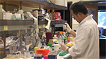 man in lab